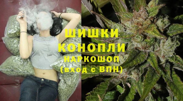 амф Коряжма